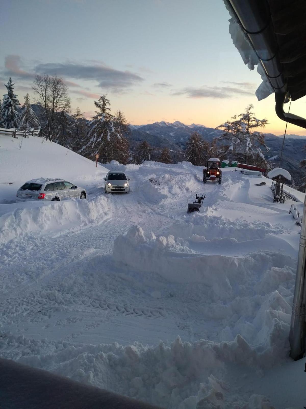 Schmiederalm * Aldein
