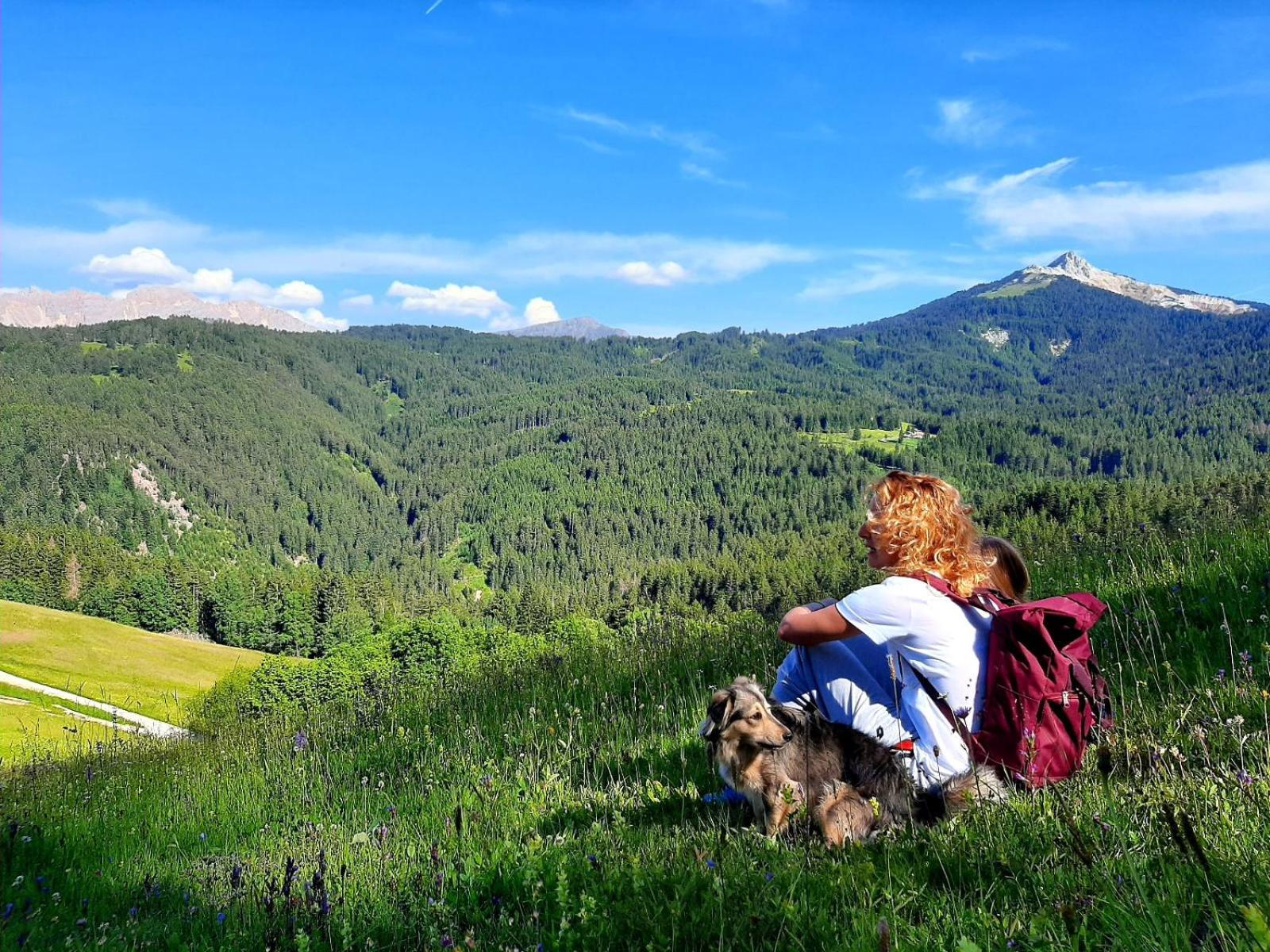 Schmiederalm * Aldino